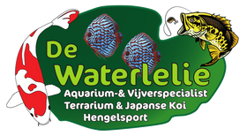 De Waterlelie
