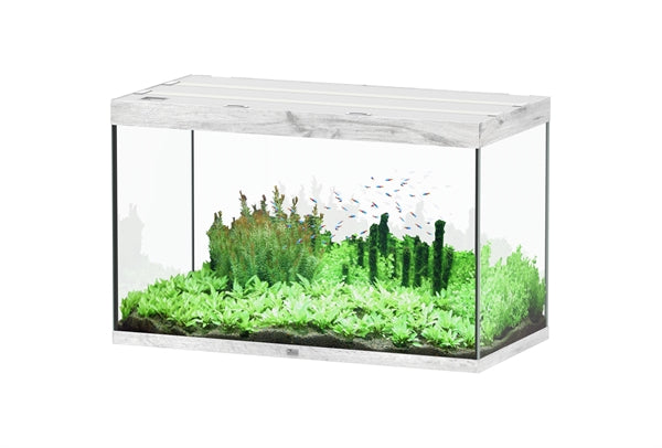 Aquatlantis Aquarium - Sublime 120x60 whitewash