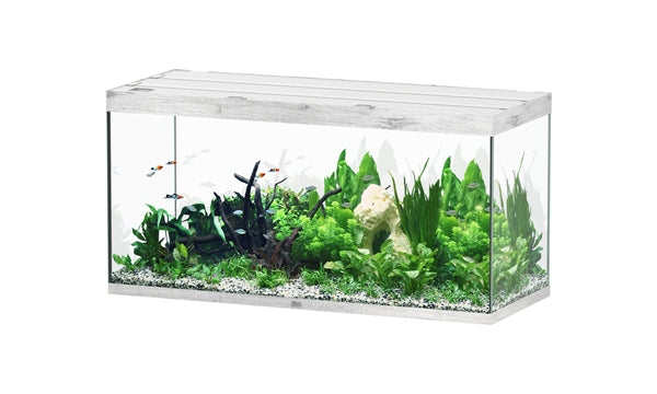 Aquatlantis Aquarium - Sublime 150x60 whitewash