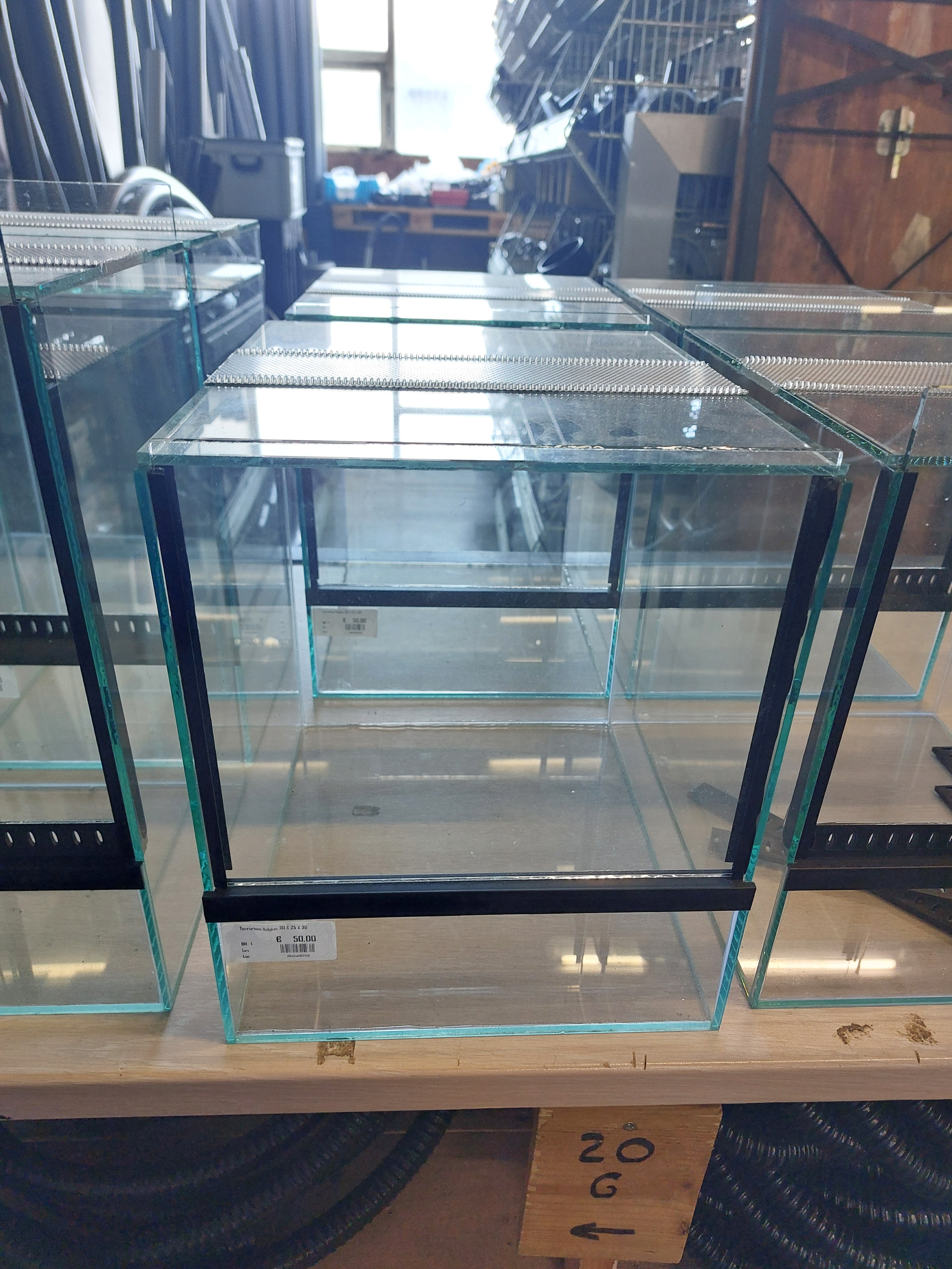 Vollglas-Haplotank 30x25x30 - Kein Versand!