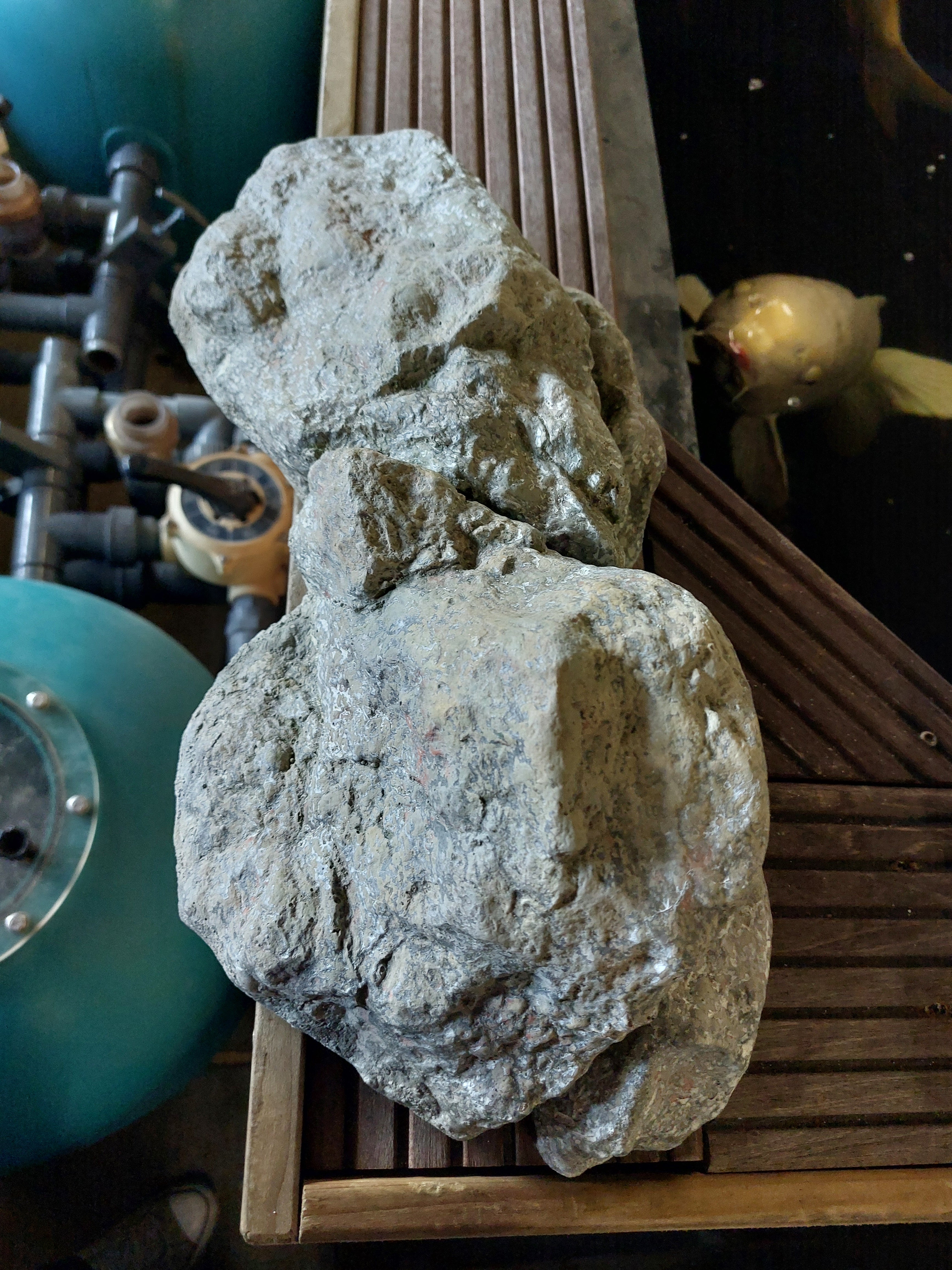 Vijverrand decoratie Steen