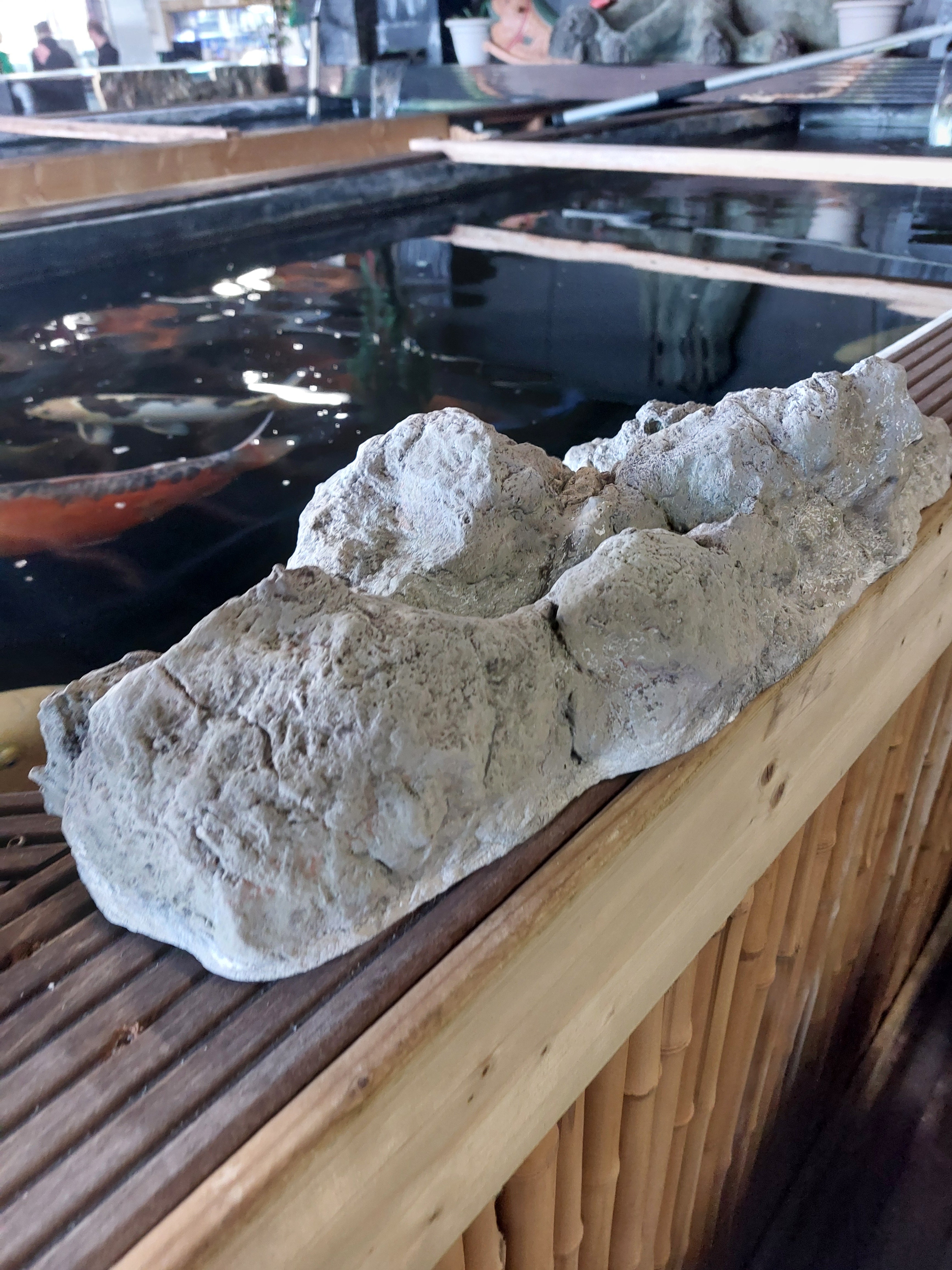 Vijverrand decoratie Steen