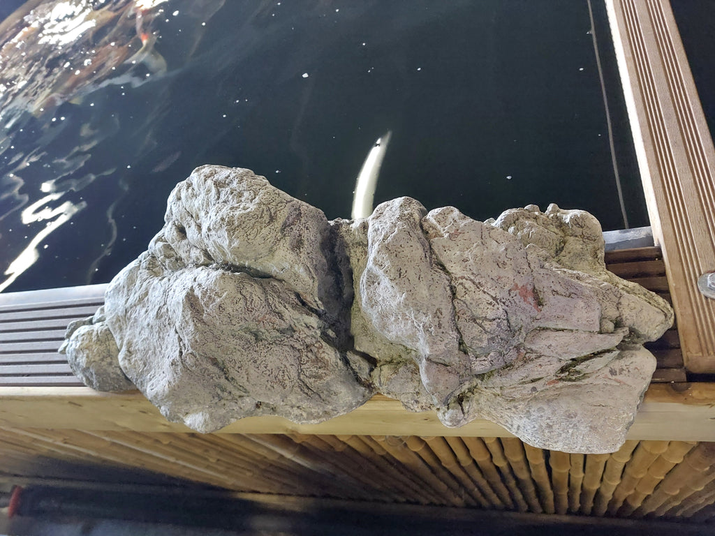 Vijverrand decoratie Steen