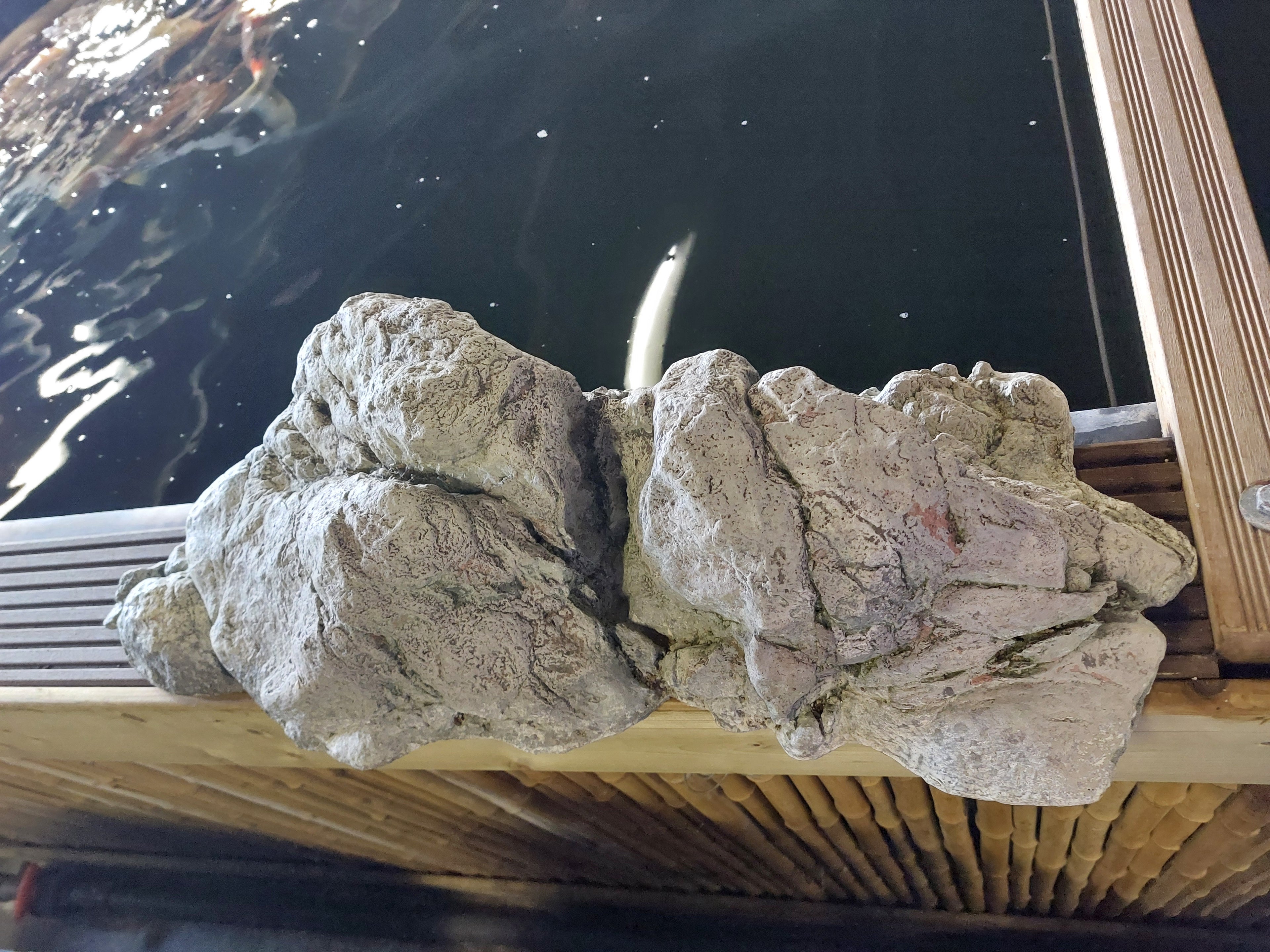 Vijverrand decoratie Steen