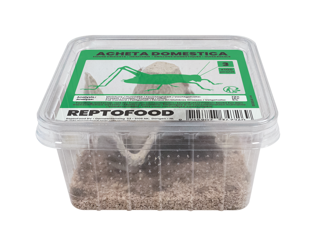 REPTO HUISKREKEL 3 BOX