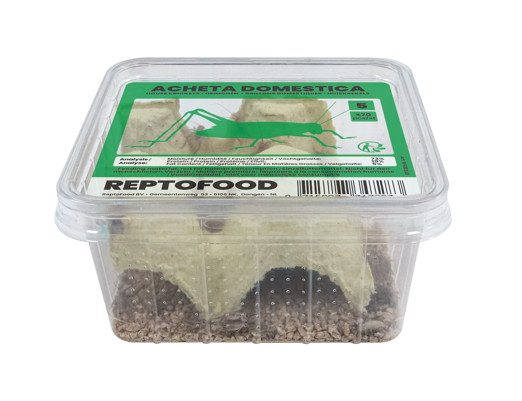 REPTO HUISKREKEL 5 BOX