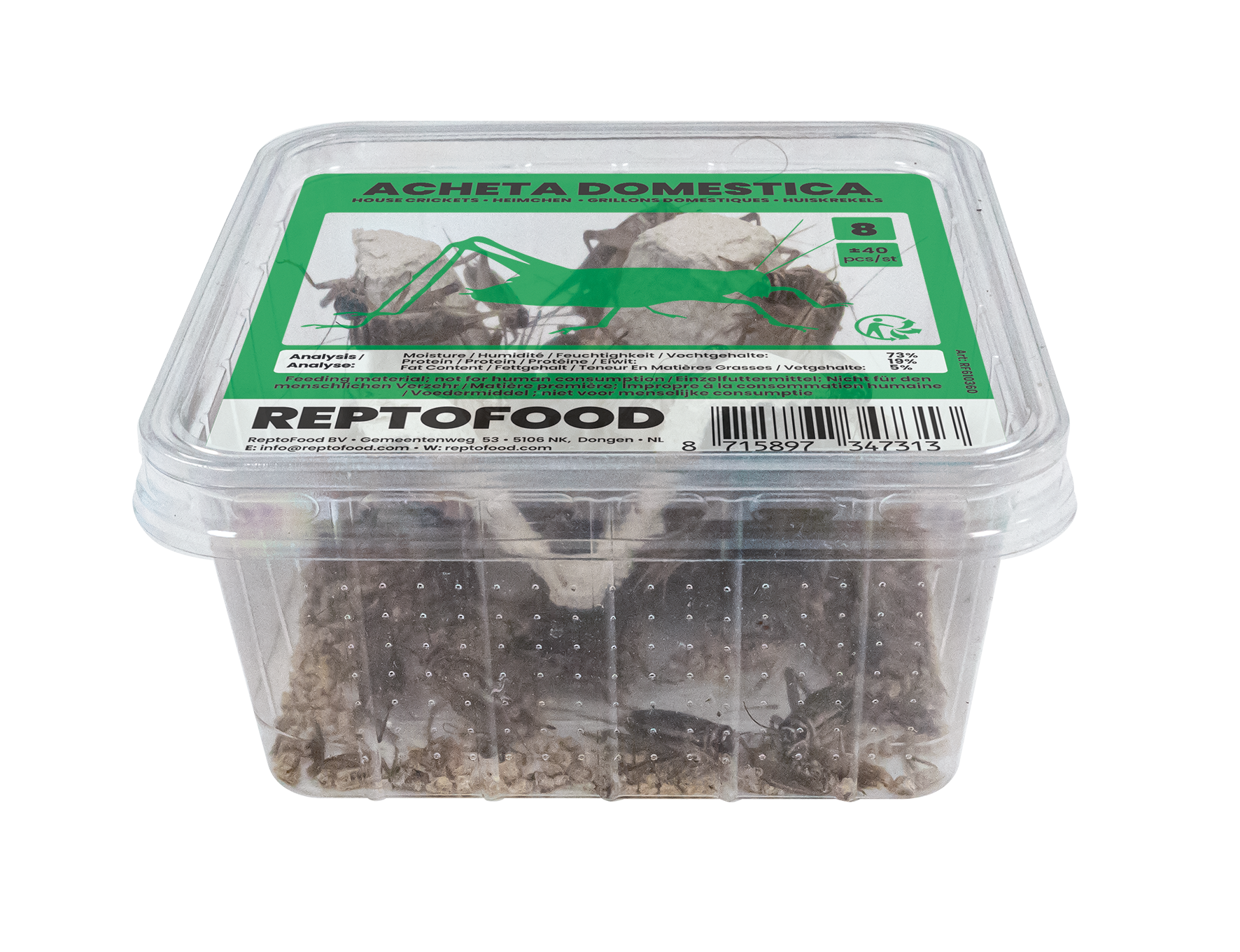 REPTO HUISKREKEL 8 BOX