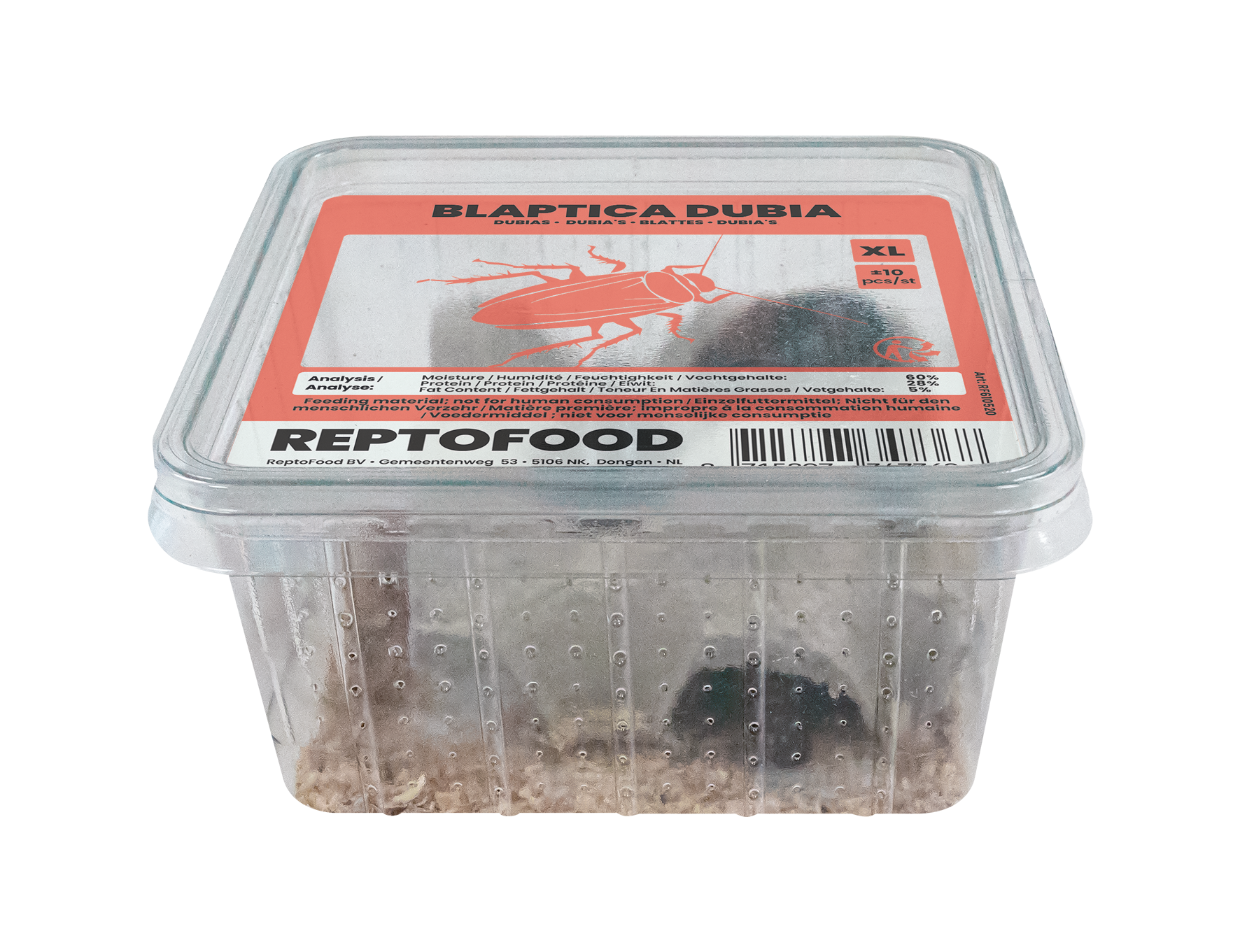 REPTO DUBIA'S XL BOX