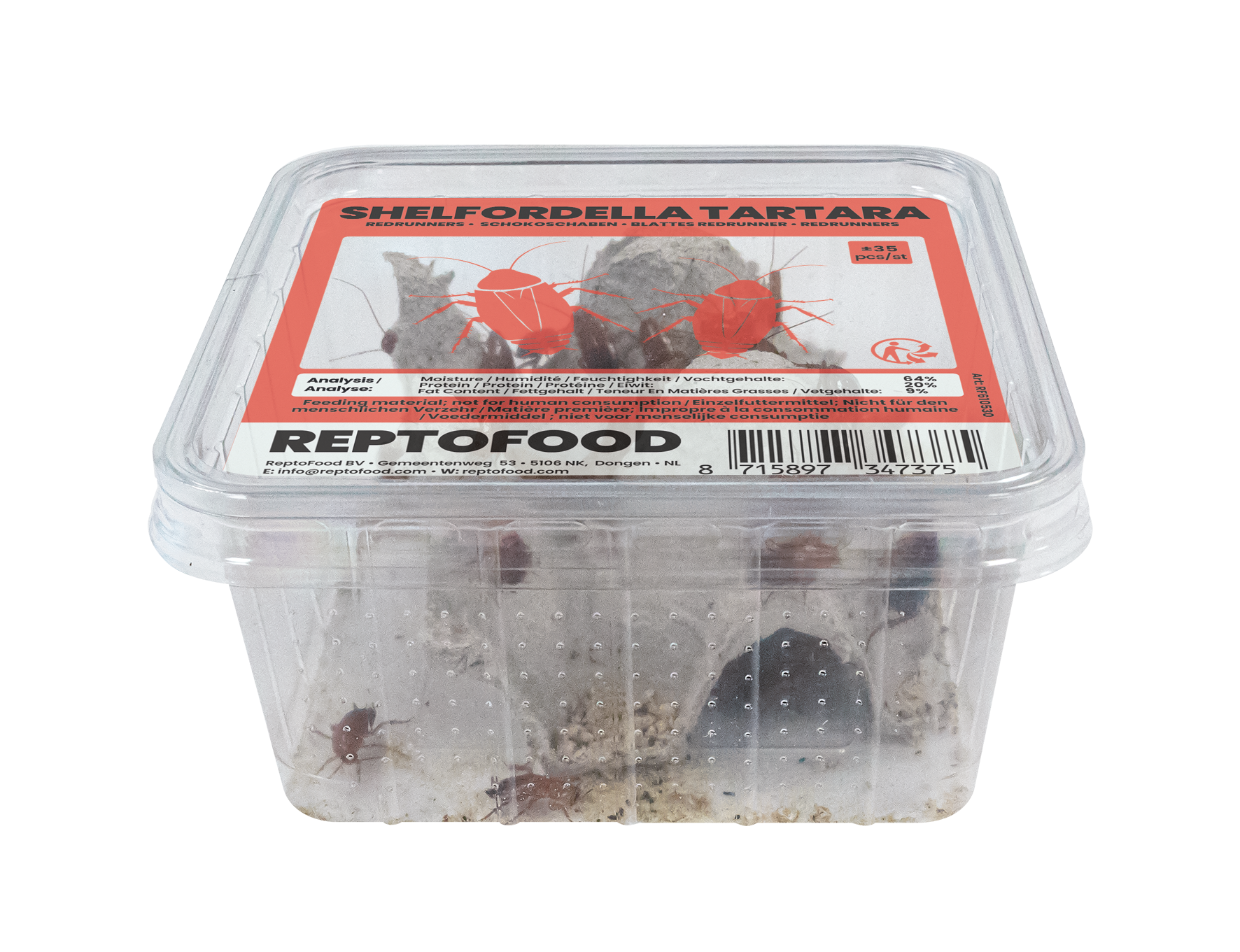 REPTO REDRUNNERS BOX