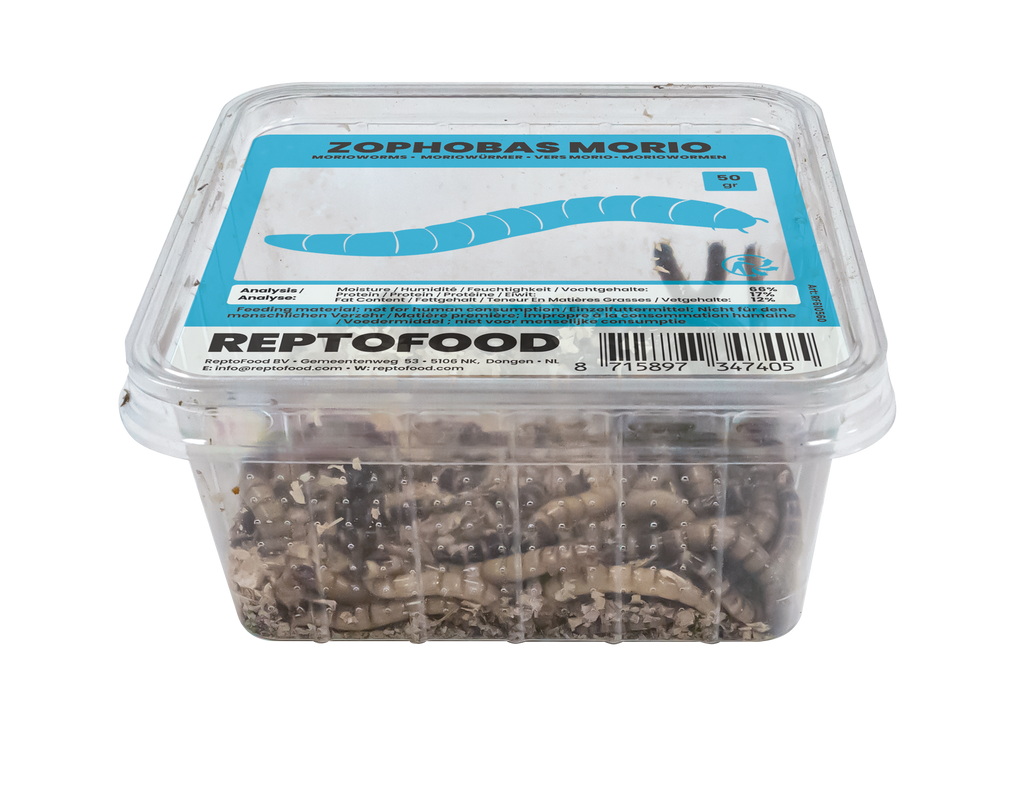 REPTO MORIOWORMEN BAKJE