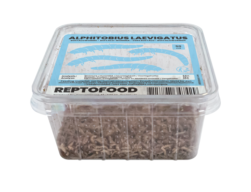 REPTO BUFFALOWORMEN BOX