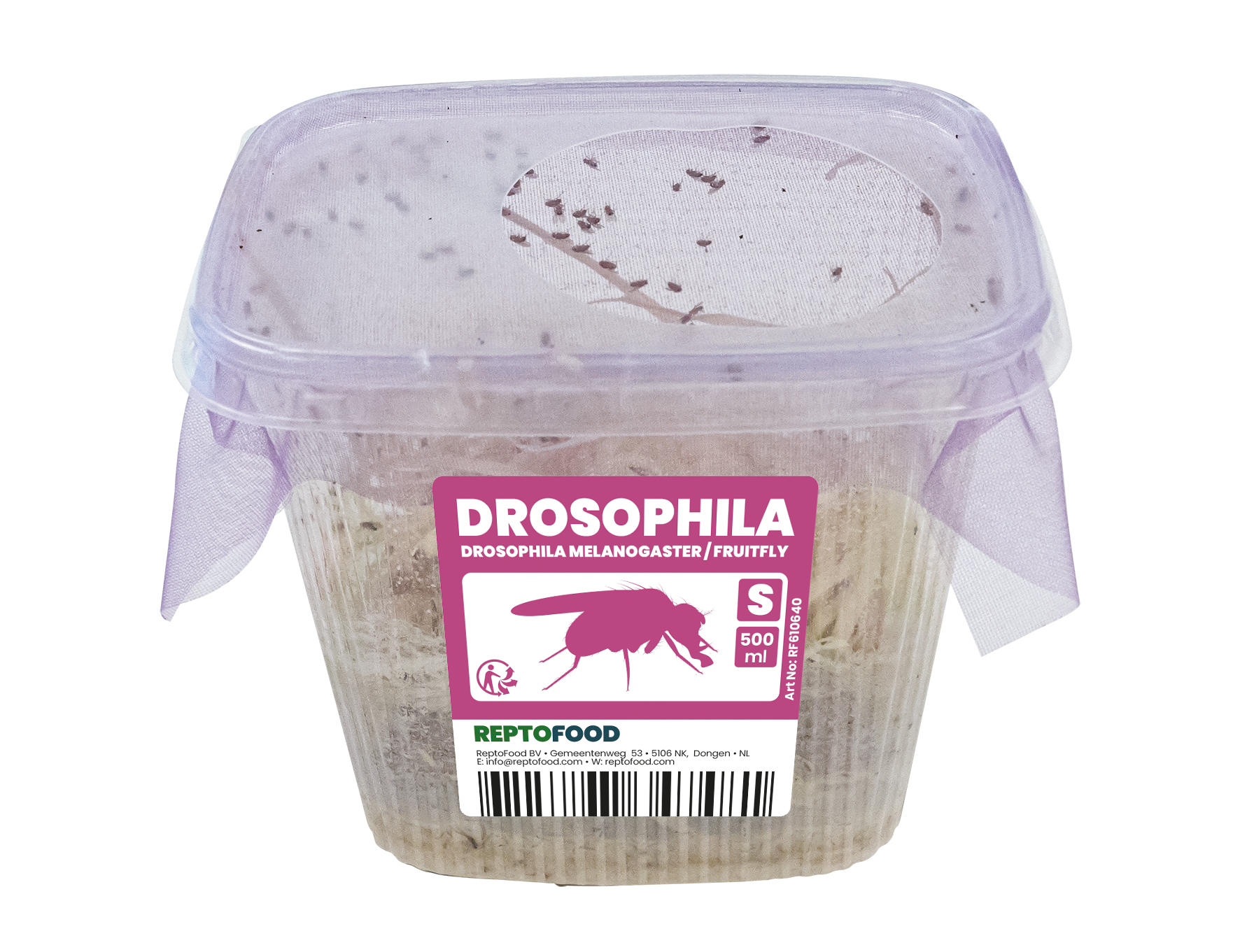 REPTO FRUITVLIEGEN KLEIN