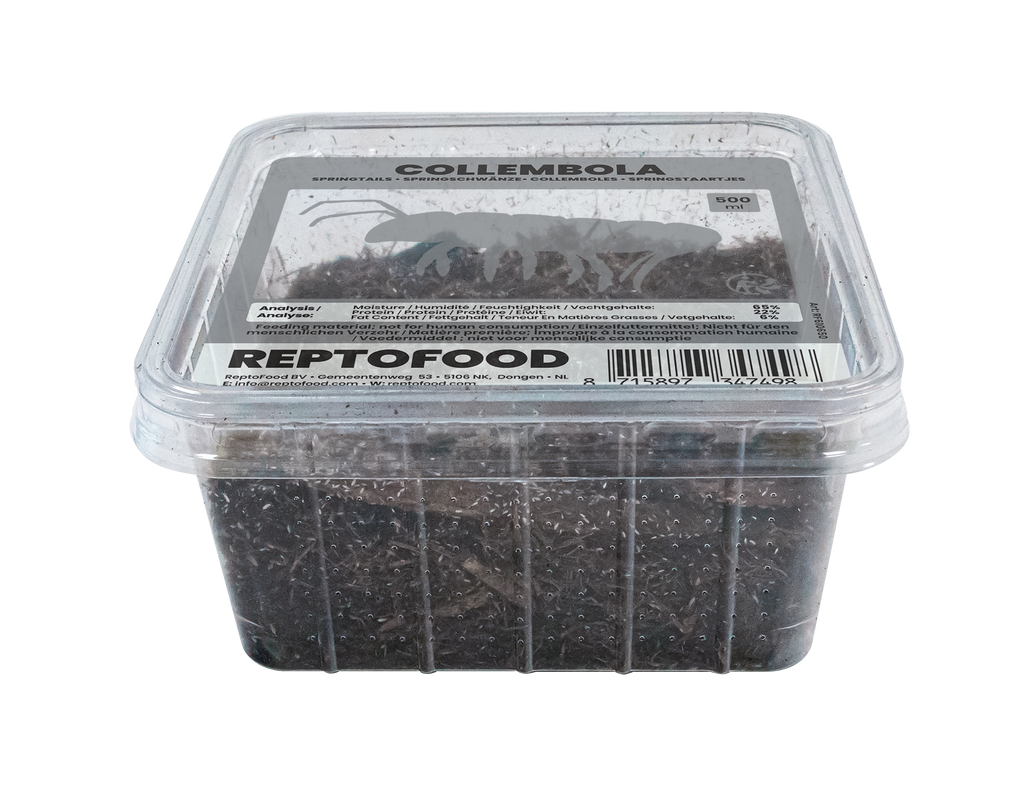 Reptofood Springstaartjes