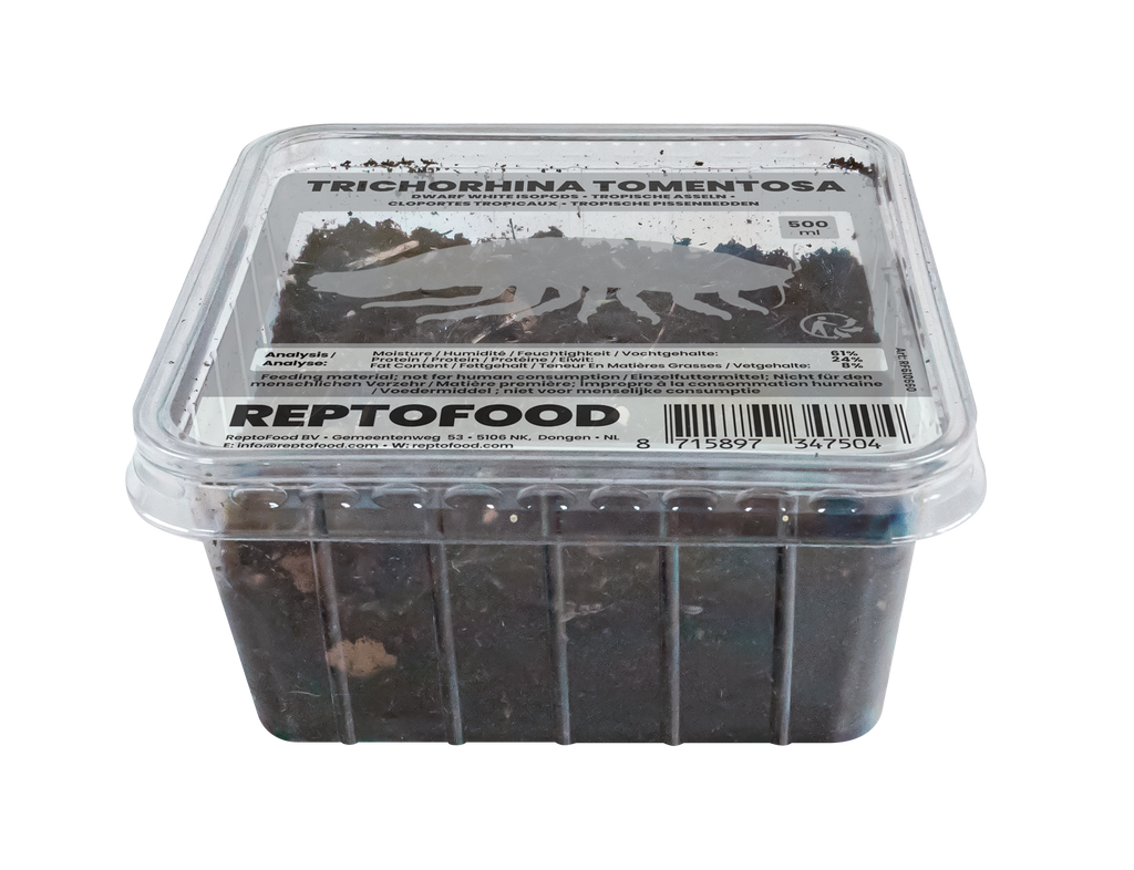 REPTO TROPISCHE PISSENBEDDEN BOX