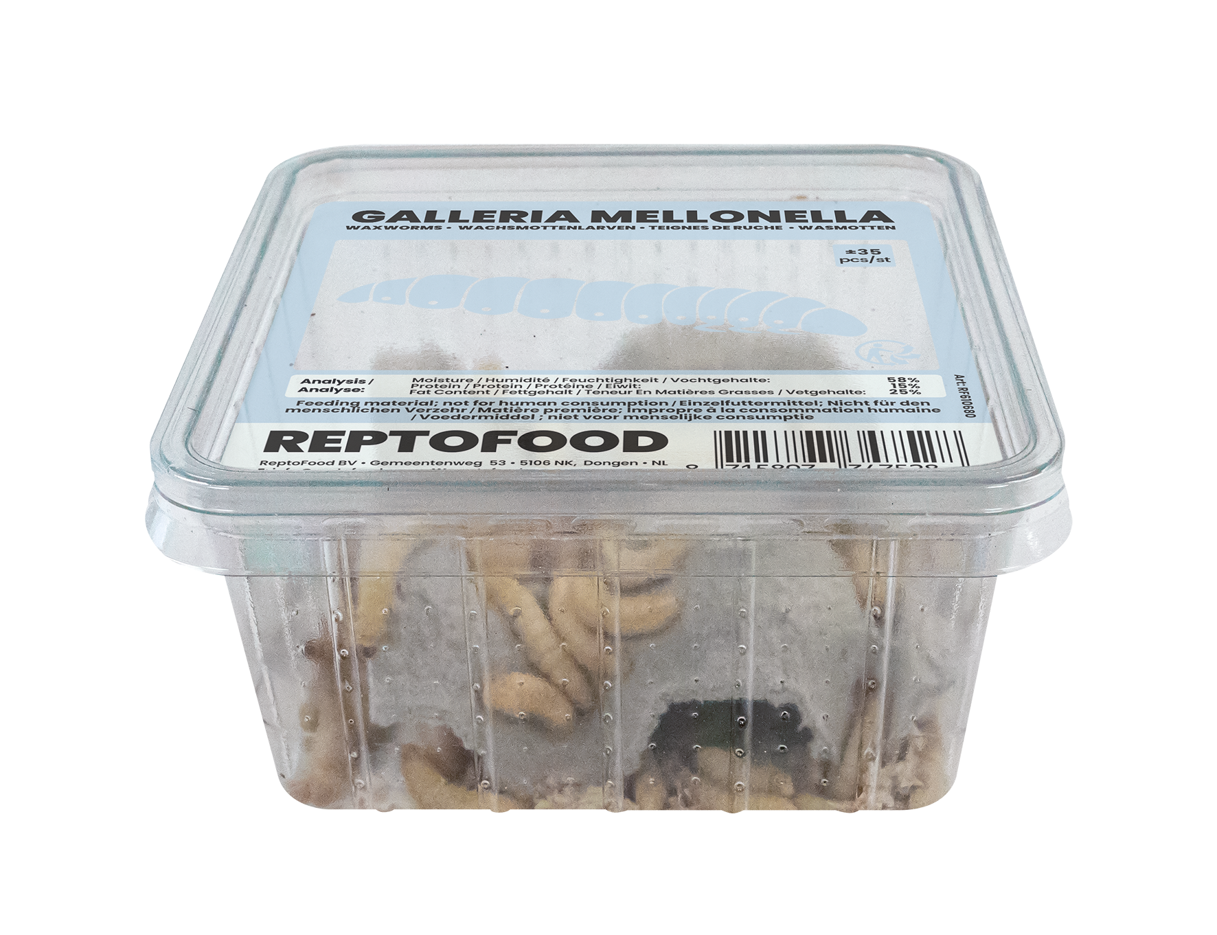 REPTO WASMOTTEN BOX