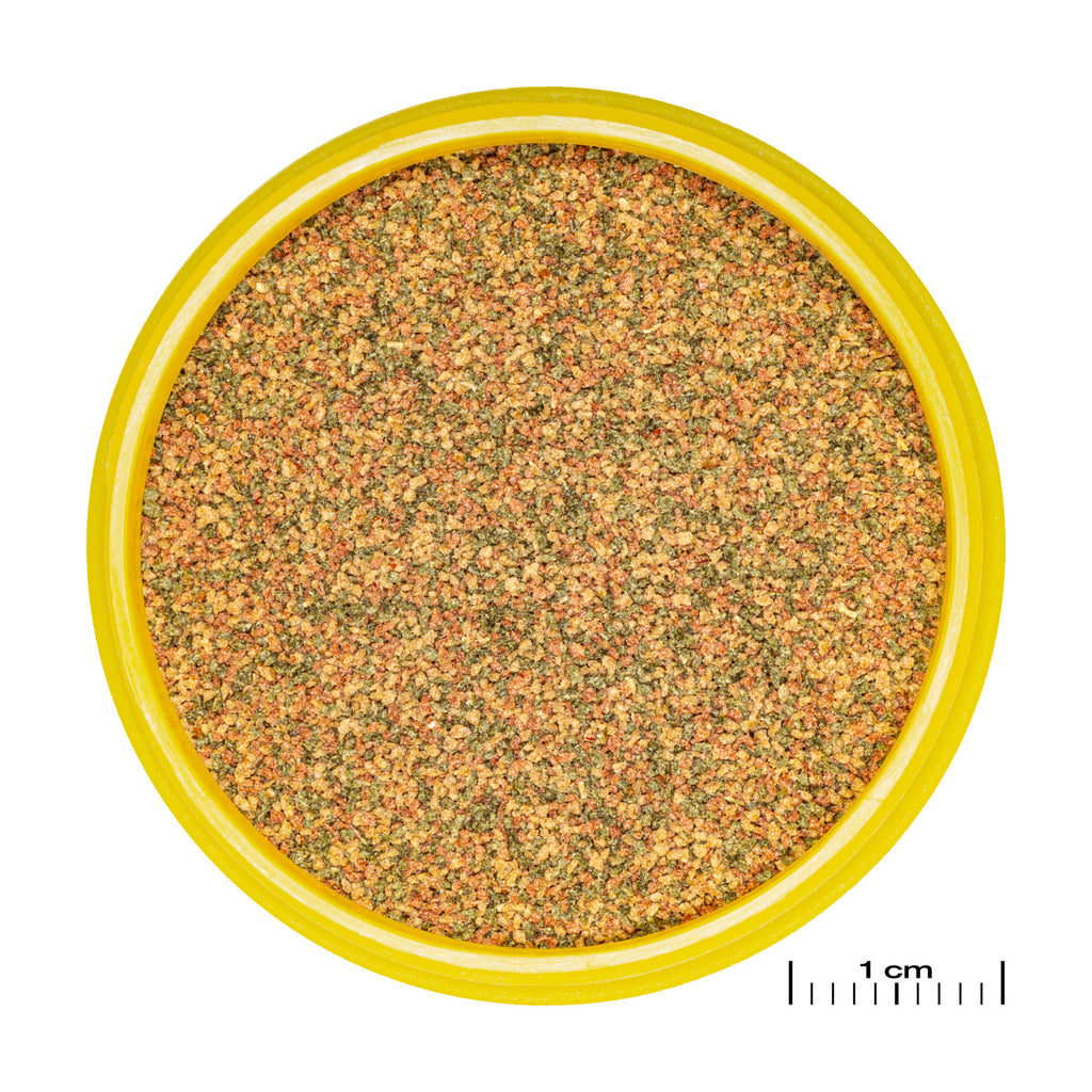 JBL ProNovo Bel Grano XXS - 100ml