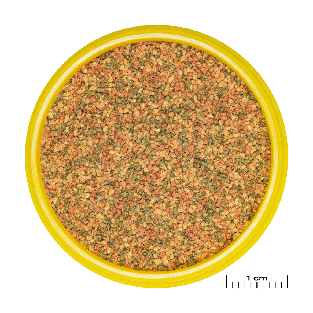 JBL ProNovo Bel Grano XS - 100ml