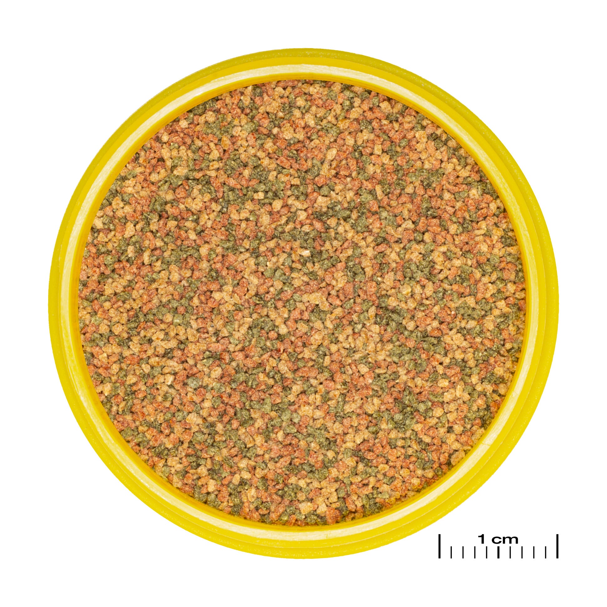 JBL ProNovo Bel Grano XS - 100ml