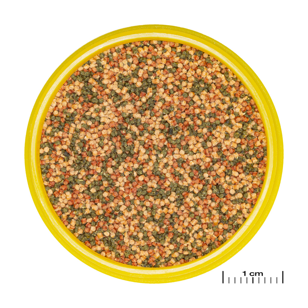 JBL ProNovo Bel Grano S - 1000ml