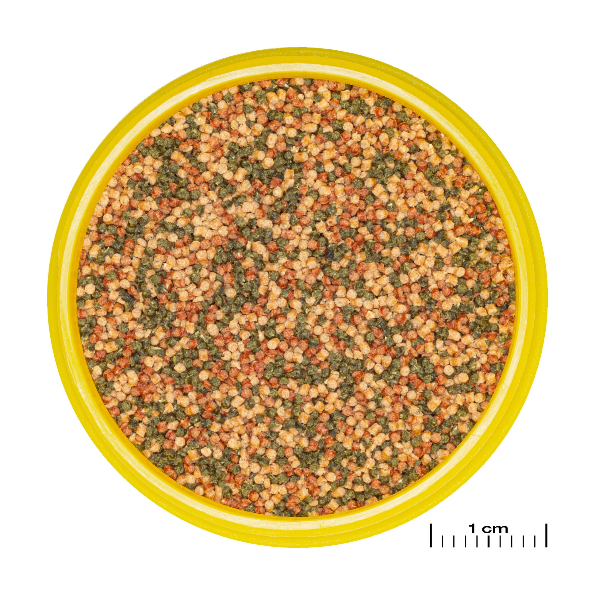 JBL ProNovo Bel Grano S - 1000ml