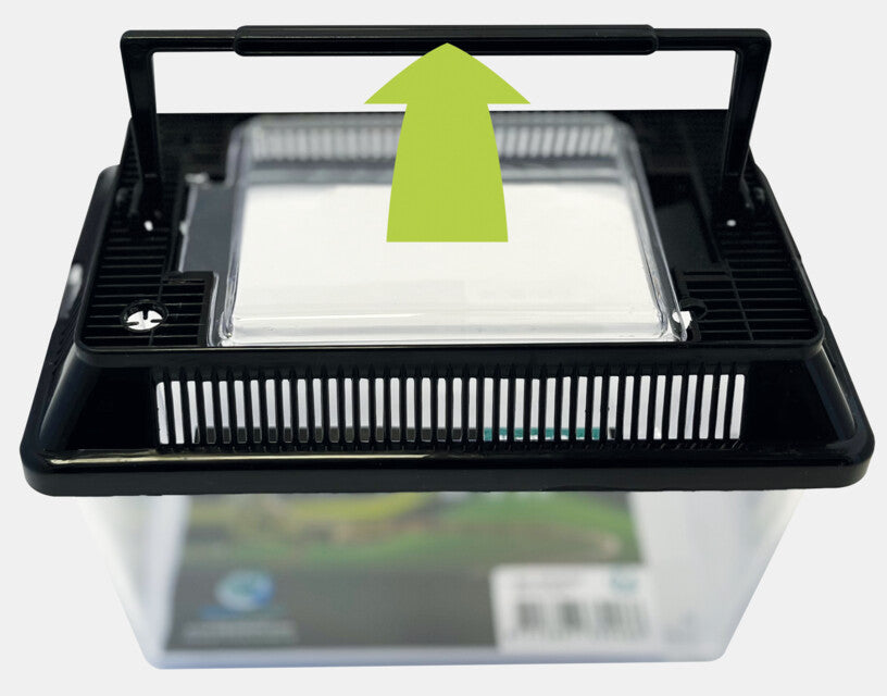 Repto Box 18x11x12cm