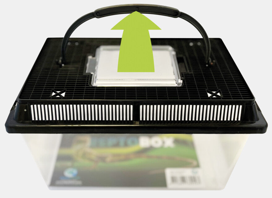 Repto Box 32,5x22x21cm