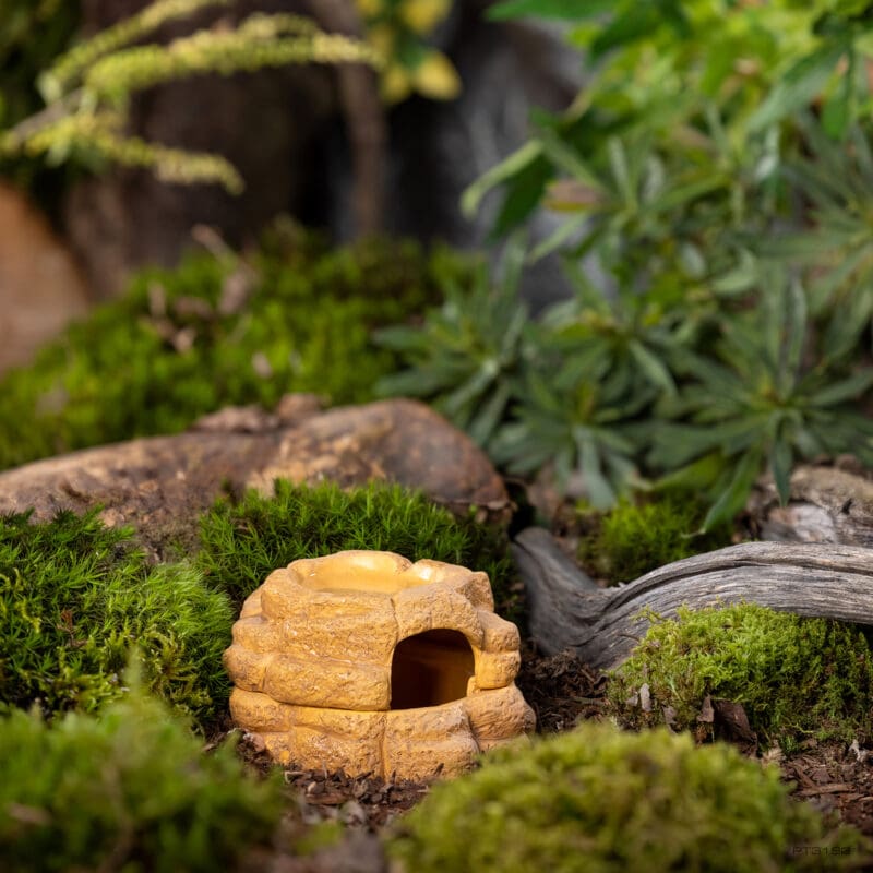 Exo Terro Big Rock - Schuilplaats met Deksel S