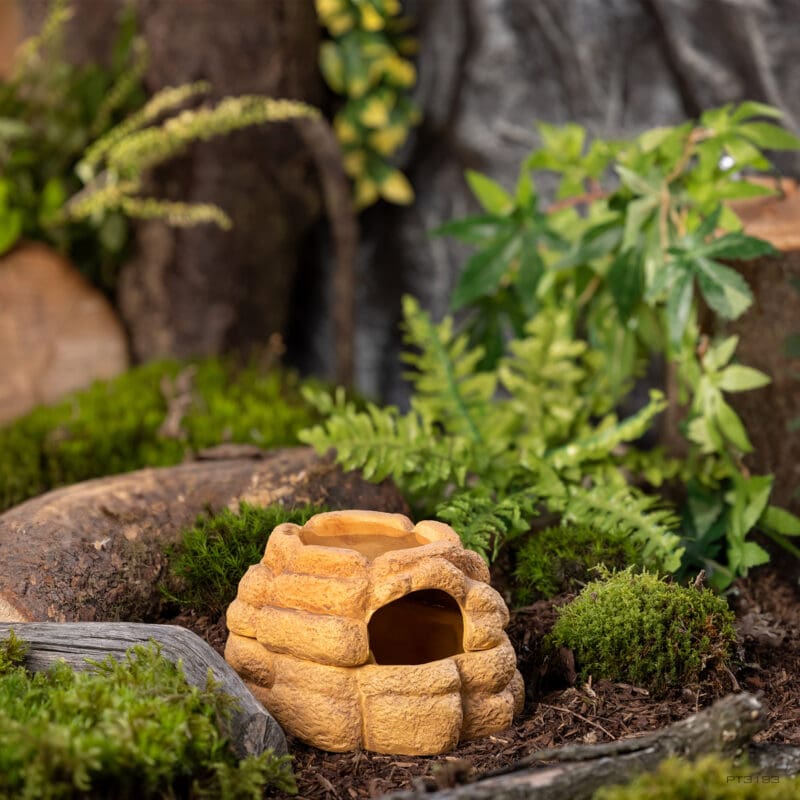 Exo Terro Big Rock - Schuilplaats met Deksel M