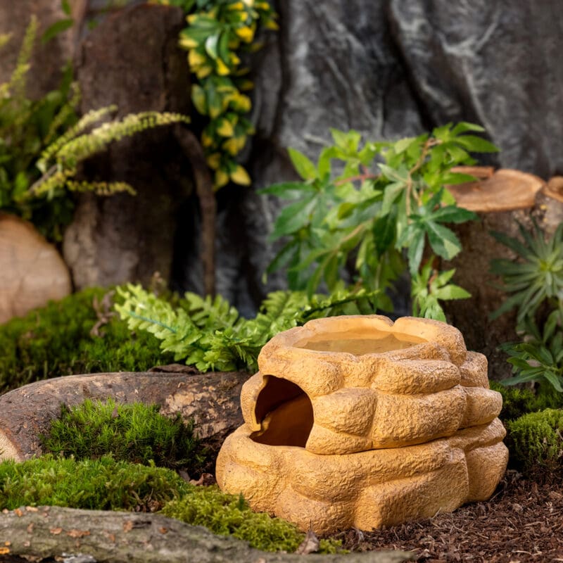 Exo Terro Big Rock - Schuilplaats met Deksel L