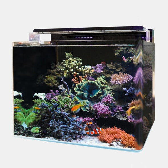 Blue Marine Reef 120 Aquarium