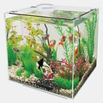Superfish Qubiq Aquarium 30 Wit