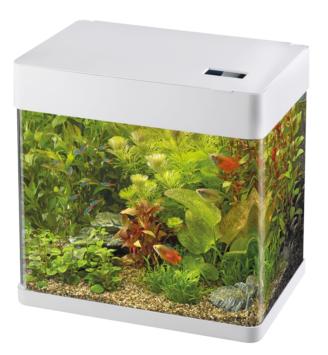 Superfish Panorama Aquarium 20 Wit