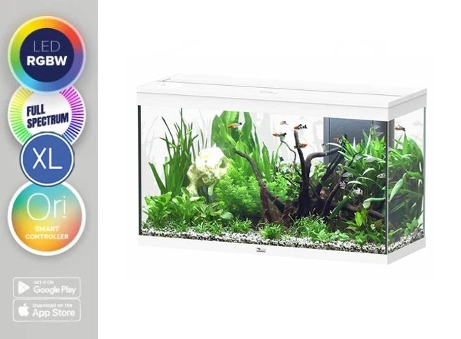 Aquatlantis Aquarium Splendid 100 Ultra RGBW Biobox