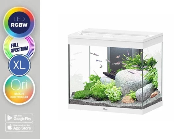 Aquatlantis Aquarium Splendid 60 Ultra RGBW Biobox