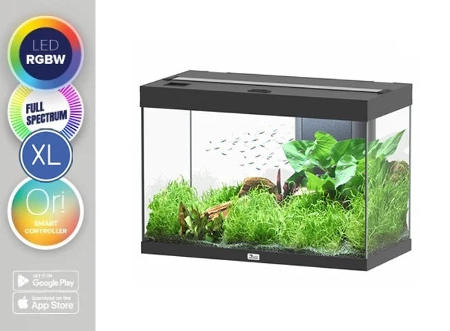 Aquatlantis Aquarium Splendid 80 Ultra RGBW Biobox