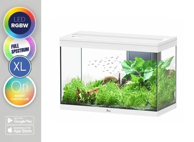 Aquatlantis Aquarium Splendid 80 Ultra RGBW Biobox