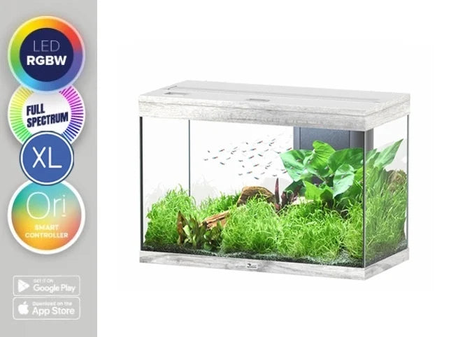 Aquatlantis Aquarium Splendid 80 Ultra RGBW Biobox