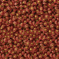 Sera KOI Professional voorjaars-/herfstvoeder - 3mm 1kg