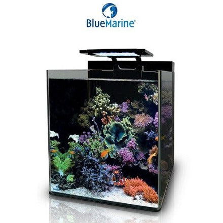Blue Marine Reef 60 Aquarium