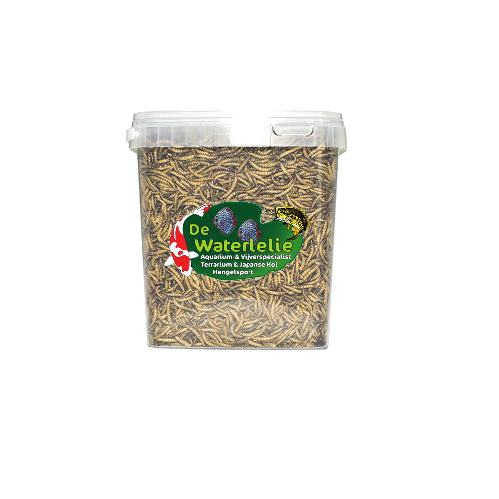 Meelwormen 5L