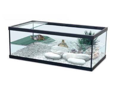 Aquatlantis Schildpadbak Tortum 55 Zwart