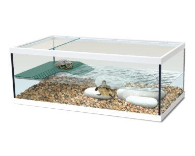 Aquatlantis Schildpadbak Tortum 55 Wit