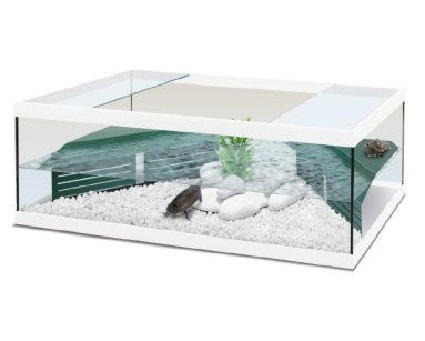 Aquatlantis Schildpadbak Tortum 100 Wit