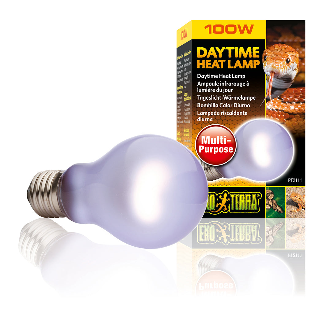 EX Daglicht Warmtelamp SG A19/100W