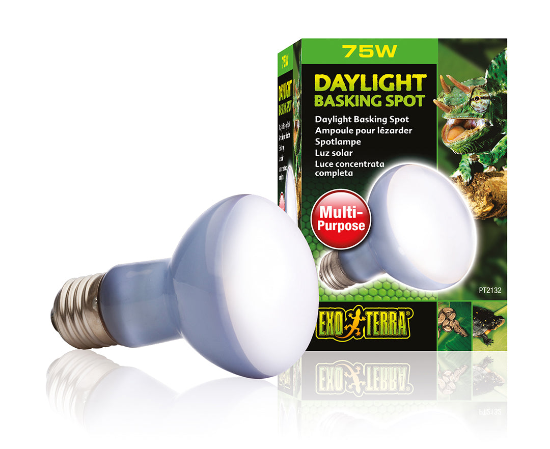 EX Daglicht Warmtespot R20/75W