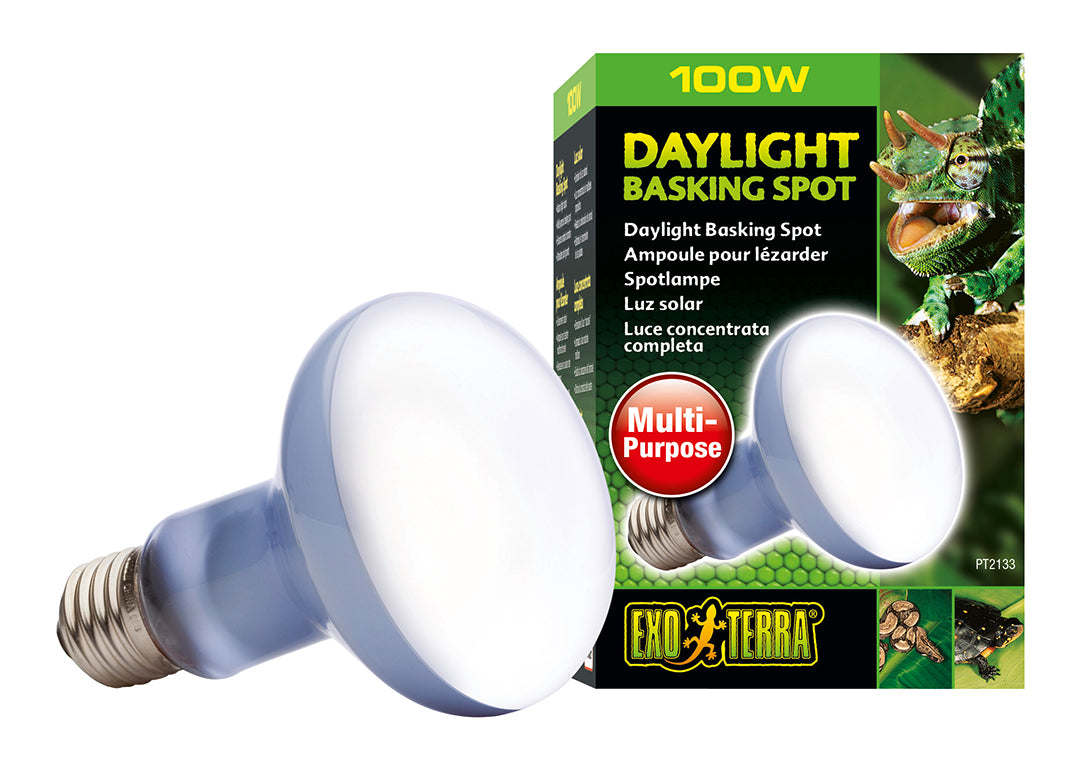 EX Daglicht Warmtespot R25/100W