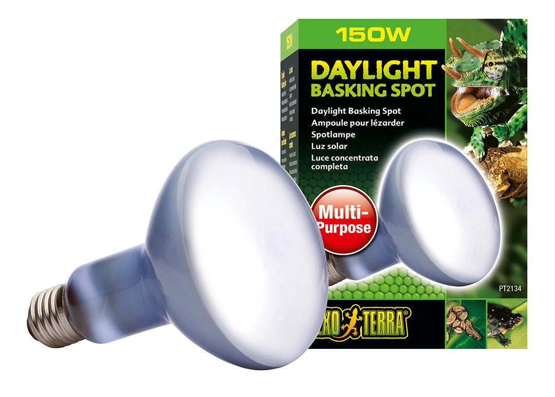 EX Daglicht Warmtespot R30/150W