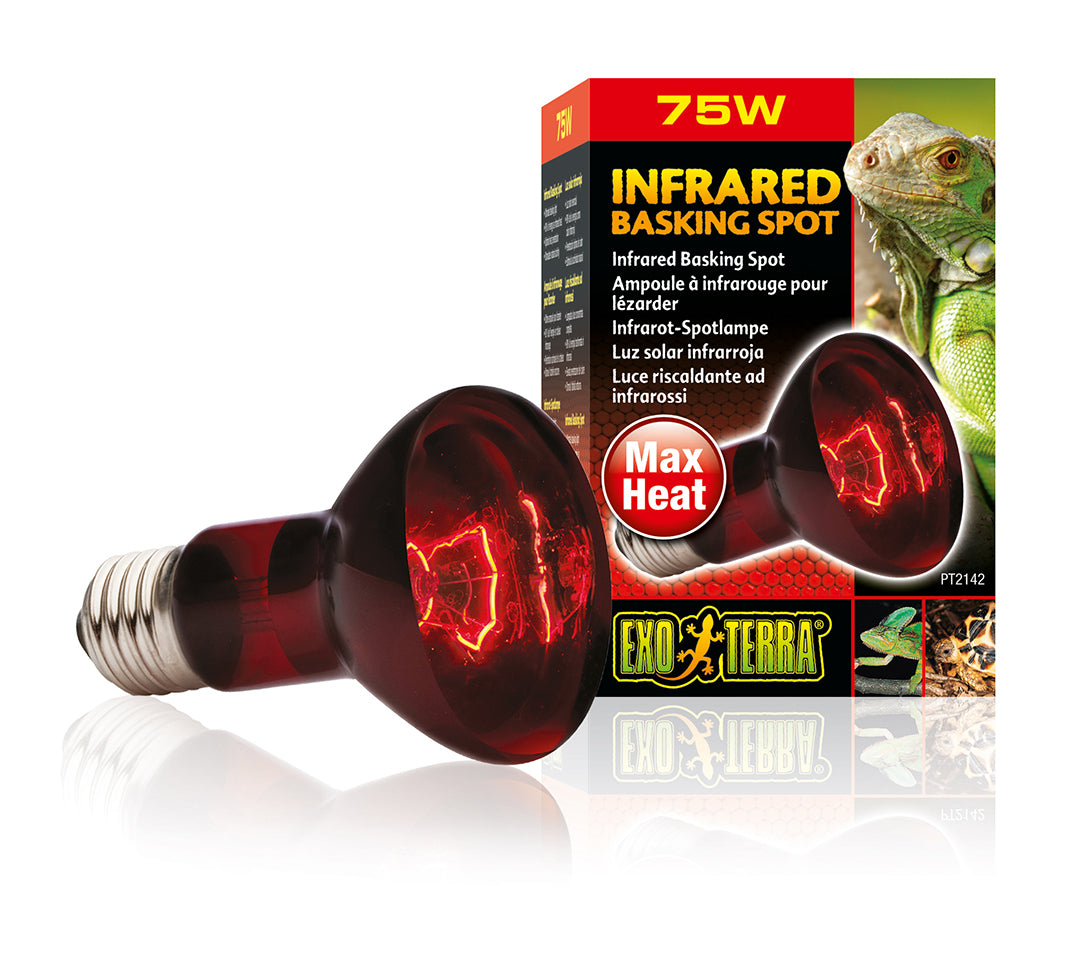 EX Infrarood Warmtespot R20/75W