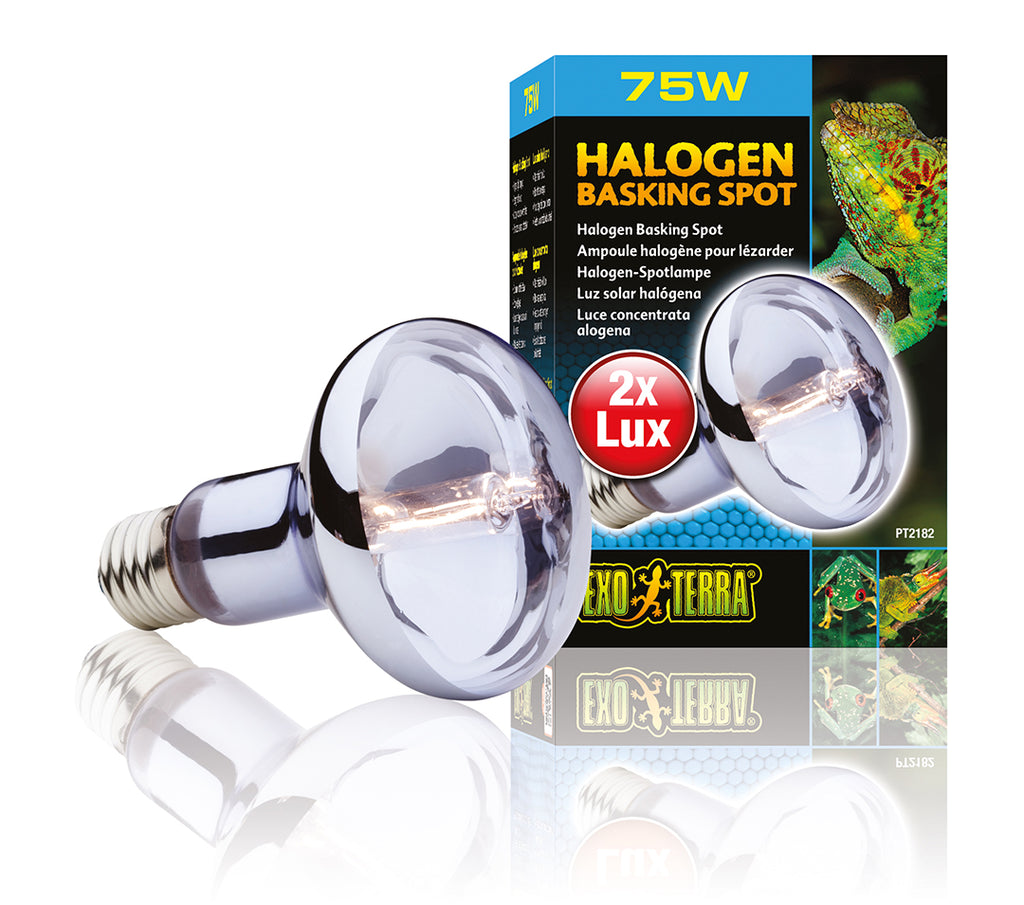 EX SUN GLO Halogeen Daglichtlamp 75W