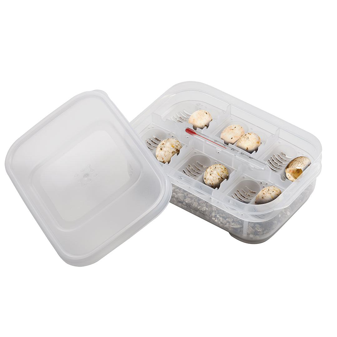 Exo Terra Incubatie box